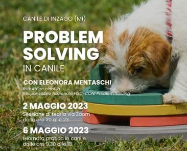 Problem solving in canile