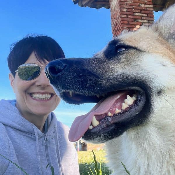 Kimi - adozione cane pastore 5